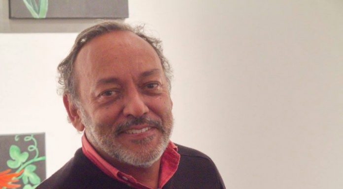 Tropicália de Jorge Falcato DR
