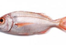 Pesca de goraz proibida nos Açores até 31 de dezembro