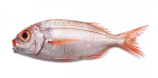 Pesca de goraz proibida nos Açores até 31 de dezembro