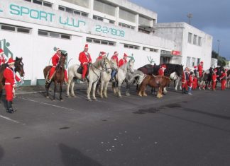 Desfile Equestre de Natal anima ruas da cidade