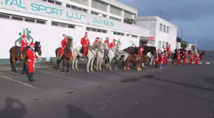 Desfile Equestre de Natal anima ruas da cidade