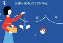 Eco- Oficina de Natal no Jardim Botânico do Faial DR