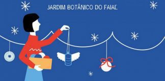 Eco- Oficina de Natal no Jardim Botânico do Faial DR