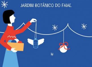 Eco- Oficina de Natal no Jardim Botânico do Faial DR
