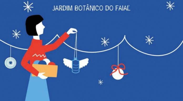Eco- Oficina de Natal no Jardim Botânico do Faial DR