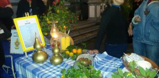 UNISÉNIOR ganha Concurso de Sopas 2016