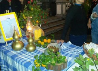 UNISÉNIOR ganha Concurso de Sopas 2016