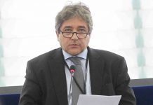 Serrão Santos eleito coordenador dos socialistas na Comissão das Pescas DR