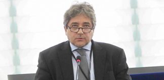 Serrão Santos eleito coordenador dos socialistas na Comissão das Pescas DR