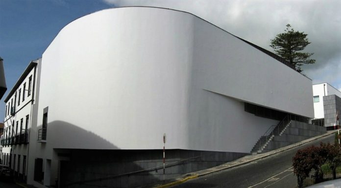 Deputadosdo PSD/Faial exigem que governo pague prejuízos da queda de araucária DR/PSD-Faial