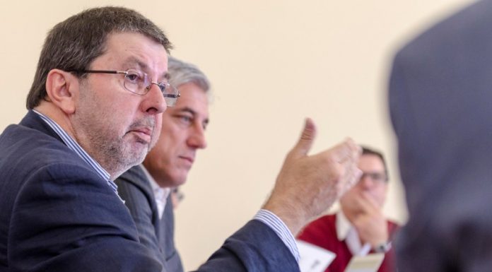 PSD/Açores quer políticas ativas para criação de emprego