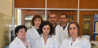 Investigadores da UC descobrem proteínas envolvidas na patogenicidade do nemátode da madeira do pinheiro DR