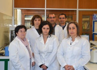 Investigadores da UC descobrem proteínas envolvidas na patogenicidade do nemátode da madeira do pinheiro DR