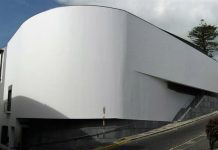 PSD/Faial pretende igualdade de tratamento nos Prejuízos causados por araucária DR/PSD-Faial