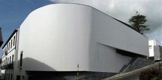 PSD/Faial pretende igualdade de tratamento nos Prejuízos causados por araucária DR/PSD-Faial