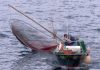 Federação quer mais investimentos para os pescadores dos Açores