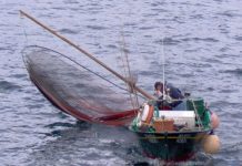 Federação quer mais investimentos para os pescadores dos Açores