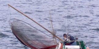 Federação quer mais investimentos para os pescadores dos Açores