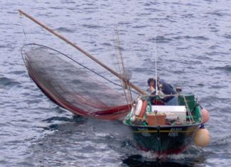 Federação quer mais investimentos para os pescadores dos Açores