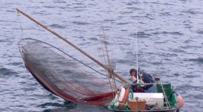 Federação quer mais investimentos para os pescadores dos Açores