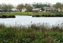 Dia Mundial das Zonas Húmidas assinalado nos Parques Naturais da Região DR/GACS