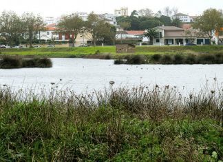 Dia Mundial das Zonas Húmidas assinalado nos Parques Naturais da Região DR/GACS