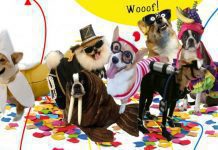 AFAMA promove festa de Carnaval “Noite da Bicharada” DR