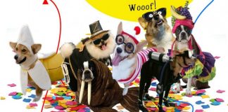 AFAMA promove festa de Carnaval “Noite da Bicharada” DR