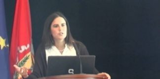 Lara Martinho defende um ano do isenção parcial de Segurança Social para todos os produtores de leite