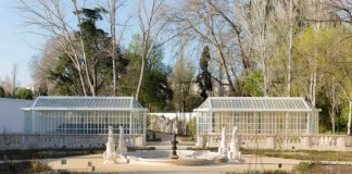 AÇORES DOAM CERCA DE 800 PLANTAS À PARQUES DE SINTRA