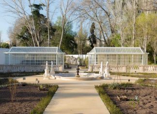AÇORES DOAM CERCA DE 800 PLANTAS À PARQUES DE SINTRA
