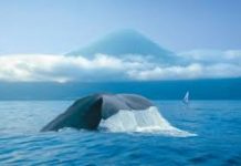 Arquipélago dos Açores será o destino mais ‘quente’ de 2017