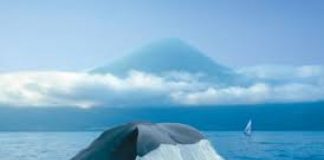 Arquipélago dos Açores será o destino mais ‘quente’ de 2017