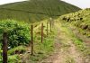 Vandalizada vedação da Reserva Natural da Caldeira do Faial DR