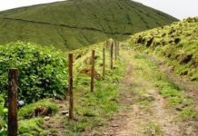 Vandalizada vedação da Reserva Natural da Caldeira do Faial DR