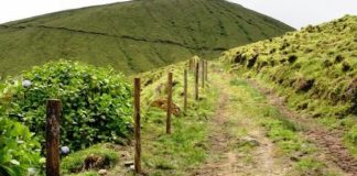 Vandalizada vedação da Reserva Natural da Caldeira do Faial DR