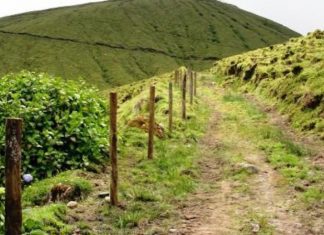 Vandalizada vedação da Reserva Natural da Caldeira do Faial DR