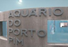Aquário do Porto Pim encerrado para manutenção TI
