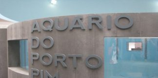 Aquário do Porto Pim encerrado para manutenção TI