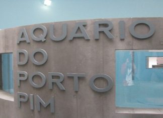 Aquário do Porto Pim encerrado para manutenção TI