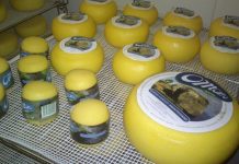 Queijo “O Morro” distinguido em Nova Iorque