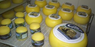 Queijo “O Morro” distinguido em Nova Iorque