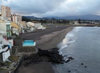 Removido cachalote arrojado na Praia do Pópulo