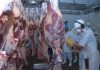 Carcaças de bovinos abatidos nos Açores são de qualidade