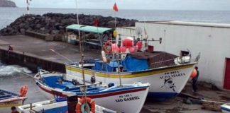 Governo dos Açores cria regime de exceção para pesca com artes de cerco e de levantar em São Miguel