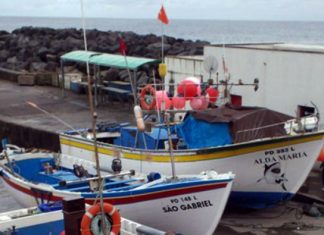 Governo dos Açores cria regime de exceção para pesca com artes de cerco e de levantar em São Miguel