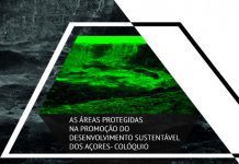 Parque Natural do Faial promove colóquio “As áreas protegidas na promoção do desenvolvimento sustentável dos Açores” DR