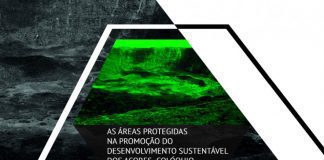 Parque Natural do Faial promove colóquio “As áreas protegidas na promoção do desenvolvimento sustentável dos Açores” DR