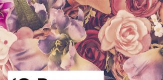 ‘O poema ensina a cair’ assinala Dia da Poesia