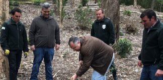 Deputados do PS plantam espécies endémicas na Graciosa para assinalar o dia da Árvore